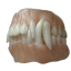 piichiko