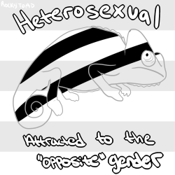 rockytoad:  Sexualities! Sorry if I missed