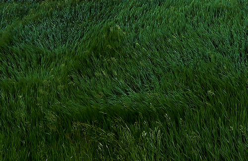 Source: http://icharous.tumblr.com