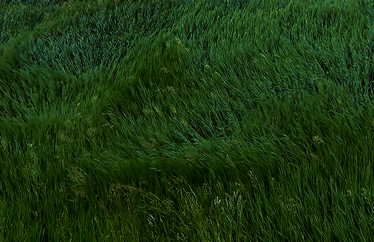 Source: http://icharous.tumblr.com