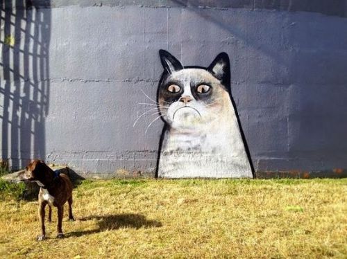 archiemcphee: Street Art + Cats = Caturday art fest!Street Art 360 assembled an awesome collection o