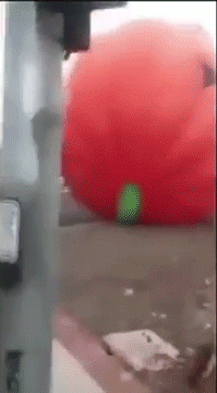 notnumbersix:  thingsamylikes:  gofflin:  sizvideos:   Wild giant inflatable pumpkin terrorizes Ariz