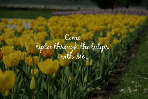 Tiptoe With Me… ✿