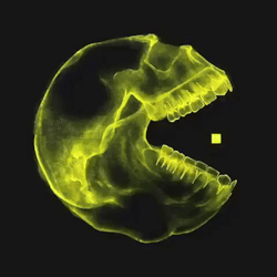 sixpenceee:Pac man x-ray (Source)