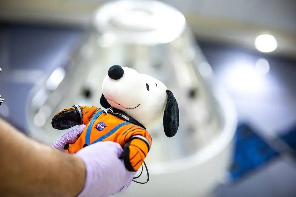 A person wearing latex gloves holds a stuffed Snoopy doll in their hands. The snoopy doll is wearing an orange Orion Crew Survival System spacesuit outfit. In the background, a model of the Orion spacecraft is out of focus. Credit: NASA/Isaac Watson