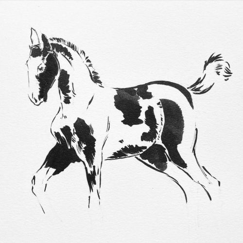 Run #horse #foal #inktober #inktober2021 #ink #art #artistsoninstagram #illustration #minimal @inkto