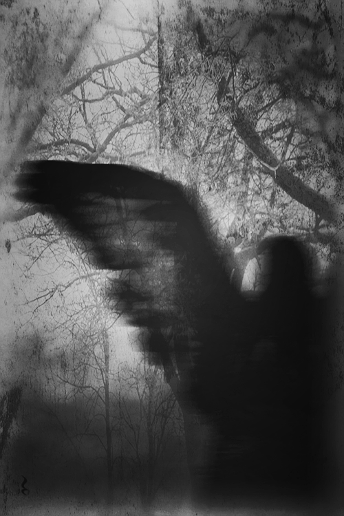 darkestdee:Source