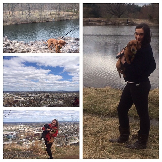 Nature hikes, two puppies and @krisoakley