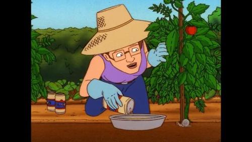 King of the Hill, “I Never Promised You an Organic Garden” 2003