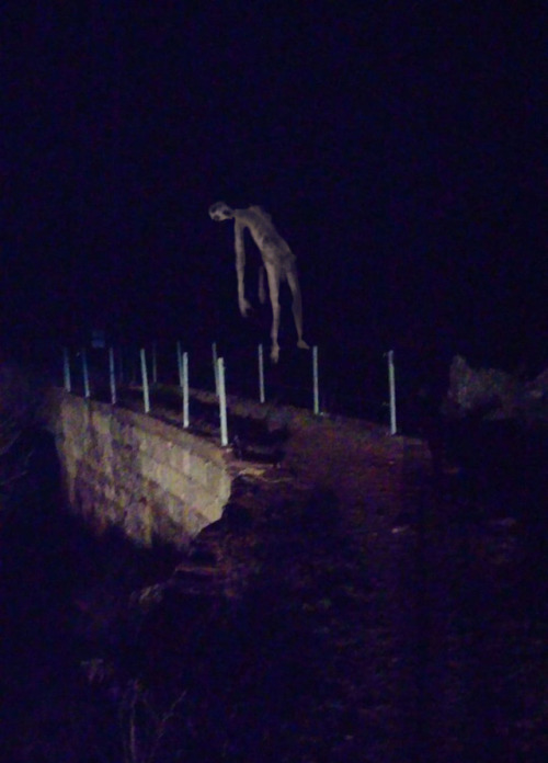 slimyswampghost: strange things happen after midnight