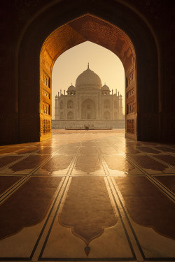 gl0vving:  Taj Mahal by  Road to the moon // Travel Photography // 