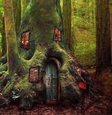 XXX overlooked-fairy:Some awesome treehouses photo