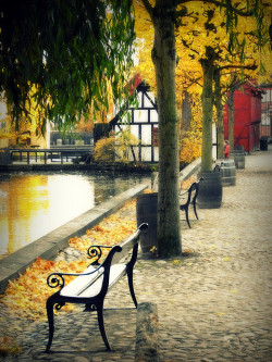 visitheworld:  Den Gamle autumn, Aarhus /