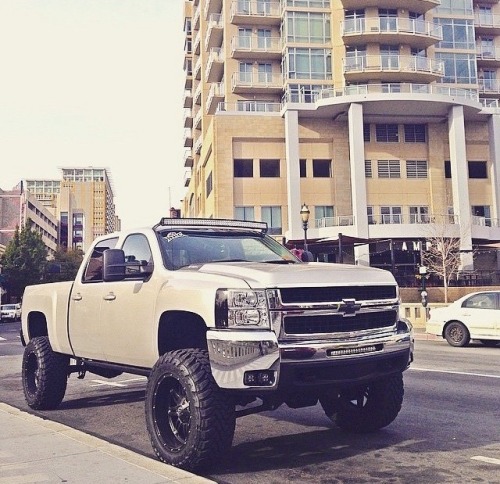 dieselnuts:  dieselnuts