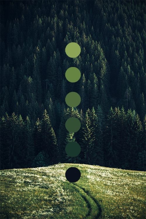 The Neon Meadow