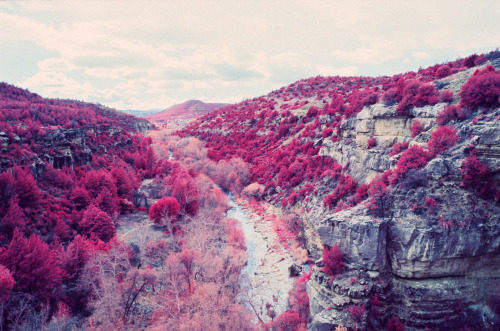 The Great American Southwest - Sedona, Arizona (December 2014) Kodak Ektachrome Infrared (EIR)