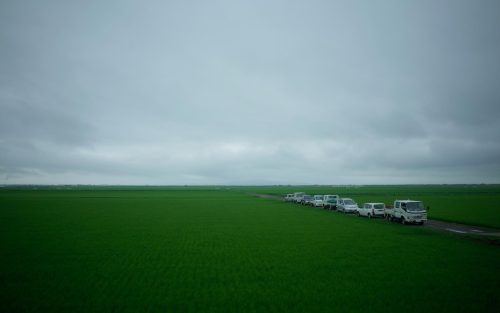 araiwatal:  SCENERY SEEN FROM A TRAIN WINDOW   THE NORTHEASTERN AREA車窓 東北 #69Ou Main Line 奥羽本線Hachirogata 八郎潟 https://plus.google.com/b/105927364264306621006/collections 