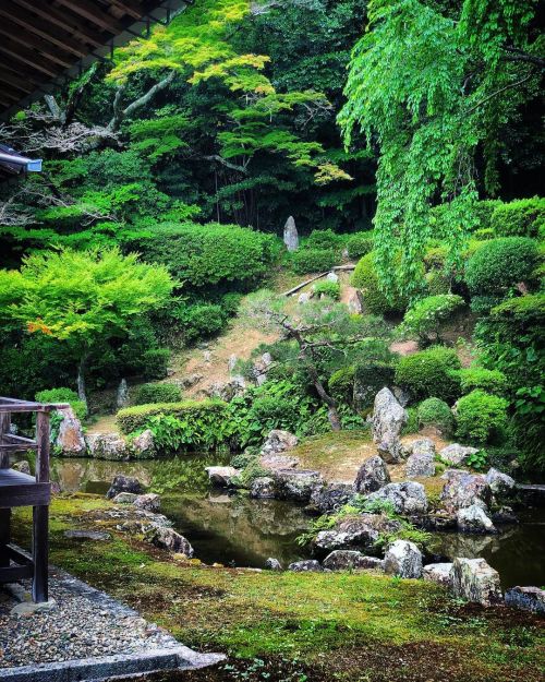 医光寺庭園 [ 島根県益田市 ] Iko-ji Temple Garden, Masuda, Shimane の写真・記事を更新しました。 ーー石見国の有力武家益田氏ゆかりの寺院にかの水墨画家 #雪舟