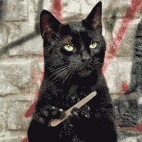 Me : When Somebody Disrespect Twilight And American Gods Im Just Like Fight Me Which Don't Disrespect