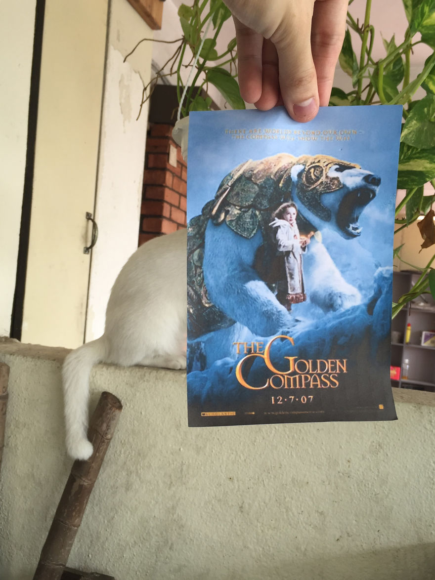 Hilarious Instagram movie poster mash-ups