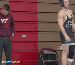 SingletBulge