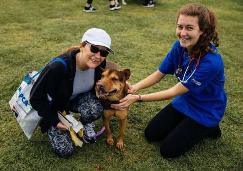 Had a ball doing the vet checks at the RSPCA Million Paws Walk yesterday. I got to meet some awesome