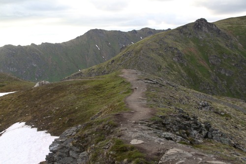 highways-are-liminal-spaces:April Bowl Trail, Hatcher Pass, AlaskaTaken July 2020