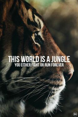 inspirationwordslove:  It’s a jungle out th love positive words