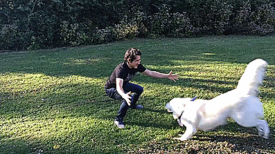lordiplier:  &ldquo;So just thank you, everyone, again for 4 million subscribers