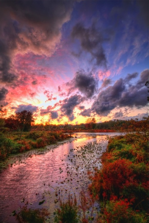 expression-venusia:Day’s End by Kevin M Expression