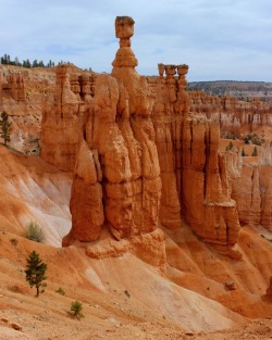 fourcornersguy: Thor’s Hammer   Red rock hoodoos (sandstone rock formations), including the prominent Thor’s Hammer, highlight the hiking trails in Bryce Canyon National Park in southwest Utah.   