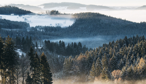 desomnis: A Winter Morning by desomnis Flickr | Tumblr | 500px | GettyImages | Instagram