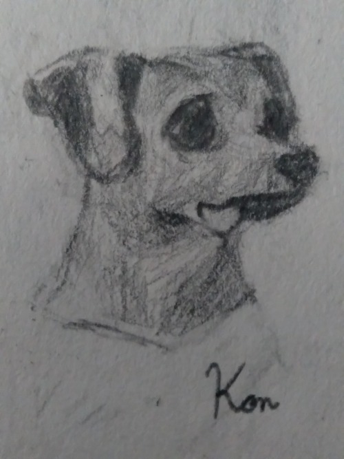 I Drew My Dog