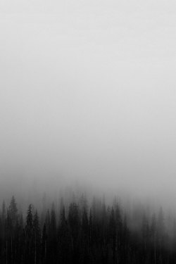 avenuesofinspiration: Embrace the Fog | Source © | AOI 