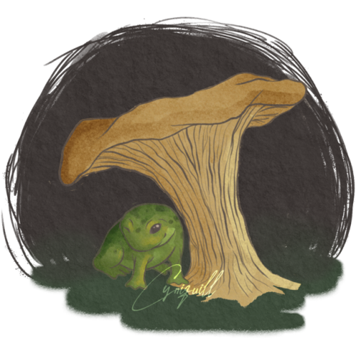 Please accept my tiny frog and his mushroom - he is so proud Now available as a sticker!