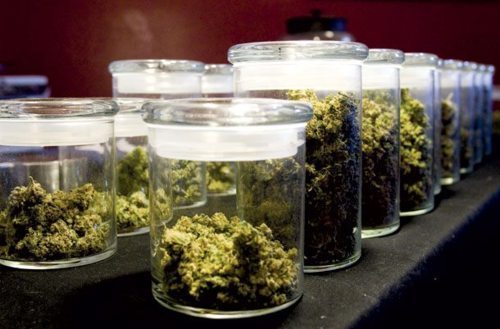 puff-puff-weed:  We’re now on Instagram ! Follow us @alwaysmoreweedhttps://instagram.com/alwaysmoreweed/