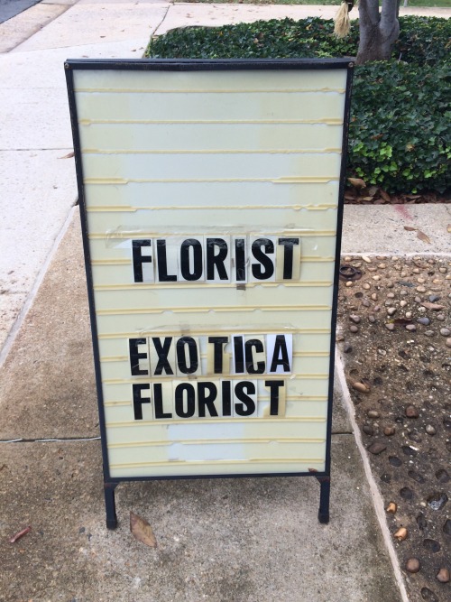 Exotica Florist, Across Route 123 (Ox Road) from Fairfax County Courthouse, Fairfax City, Ole Virgin