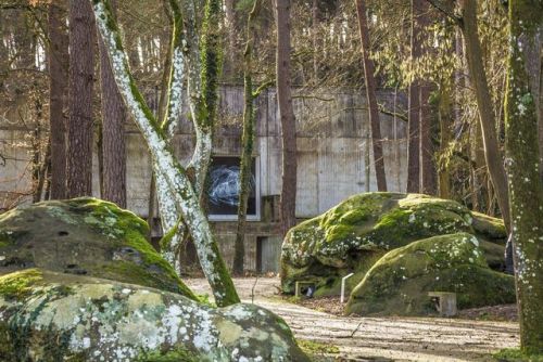 sosbrutalism: Well camouflaged in the woods: Roland Simounet: Musée de la Préhistoire 