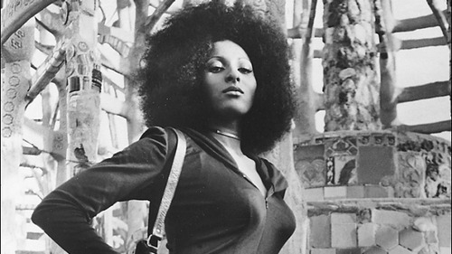 Pam images brown foxy grier Pam Grier: