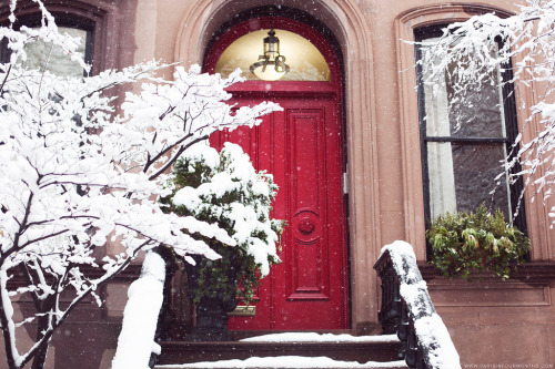 melodyandviolence:   Winter Wonderland in New York City (2014) by  Carin Olsson