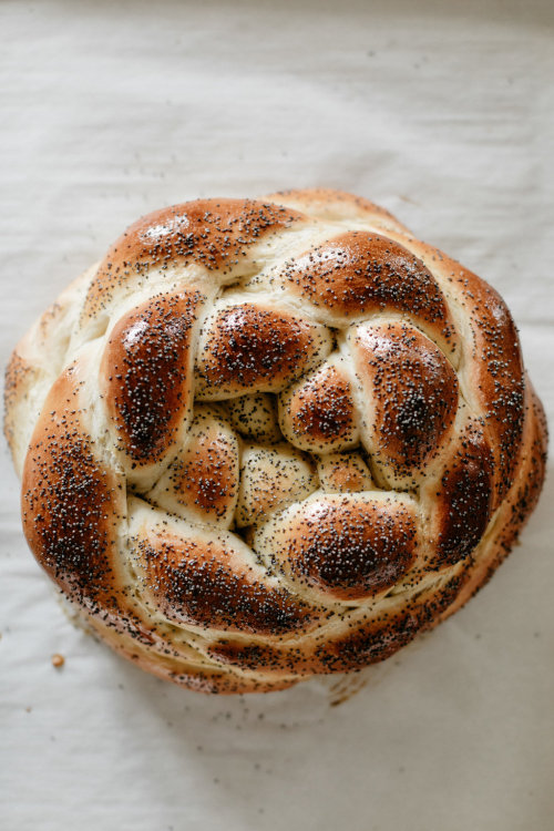 hoardingrecipes:Potato Challah