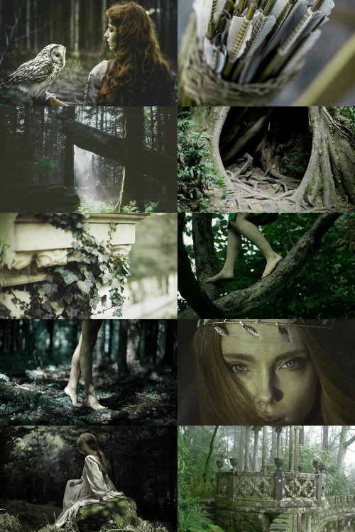 moodyhues:Wood Elf Aesthetic ; requested by @faoraofylisse