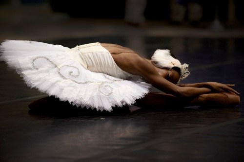 swanlake1998:paunika jones photographed performing as odette in swan lake by melissa andrew sweazy