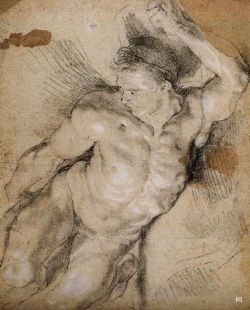 Male Nude Study. Peter Paul Rubens. Flemish.