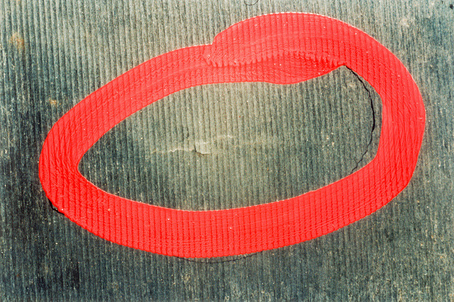 1900mm: Fugal Basket … 18th Nov 1993 