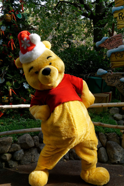 winnie the pooh