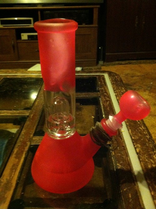 memories-like-fingerprints:  My new baby!!! <3 Cupcake.