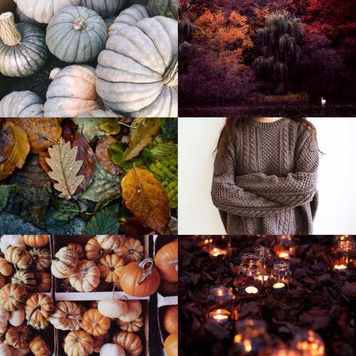 wingedwolves:  inspiration for autumn 