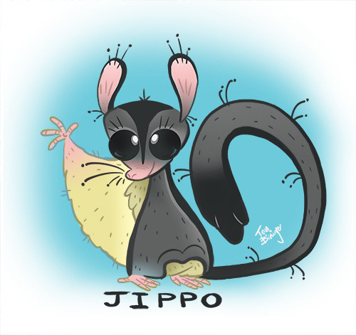 I lost my little Jip’ over the weekend. He was eleven years old and went peacefully. He helped