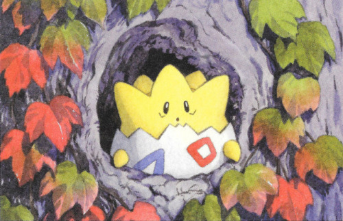 lilypadmew:✦ Togepi | Neo Genesis Set | Naoyo KimuraA proverb claims that happiness will come to any